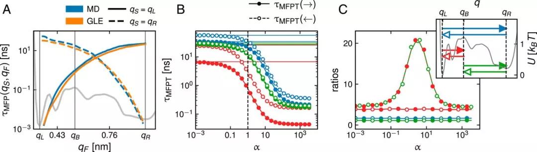 PNAS | 蛋白质折叠的非马尔可夫模型