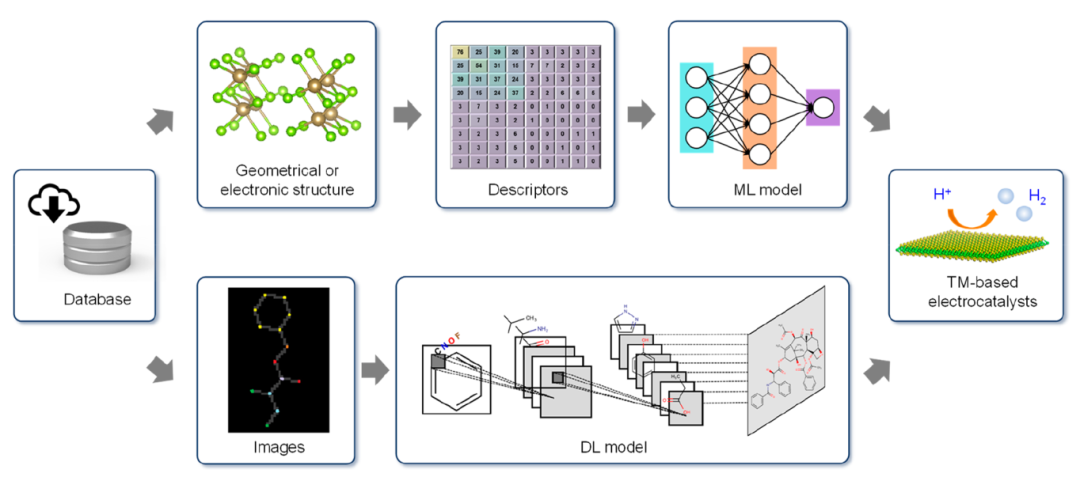 ACS Catal. | 机器学习在过渡金属电子催化剂研发中的应用