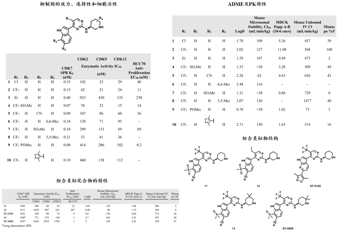 JMC | 非共价CDK7抑制剂SY-5609的发现