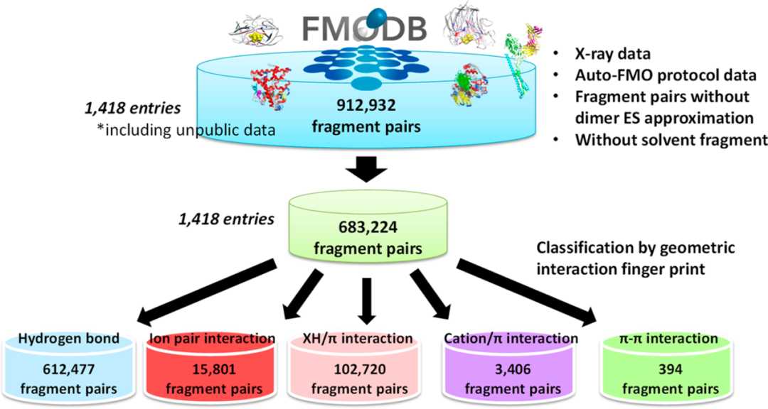JCIM | FMODB：世上首个基于片段分子轨道方法的生物大分子量子力学计算数据库