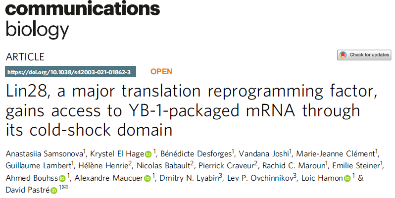 Commun. Biol. | MD揭秘Lin28进入mRNA的方式