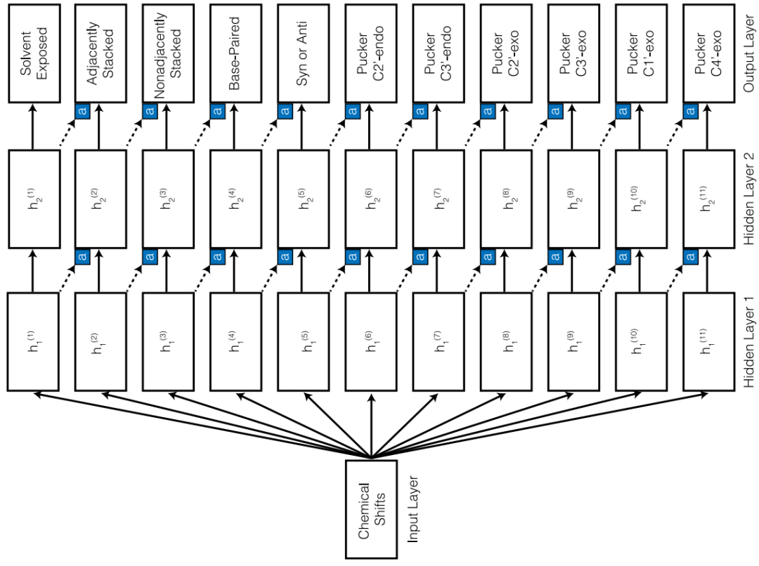 JCIM | CS-Annotate：用化学位移注释RNA结构的深度学习在线工具