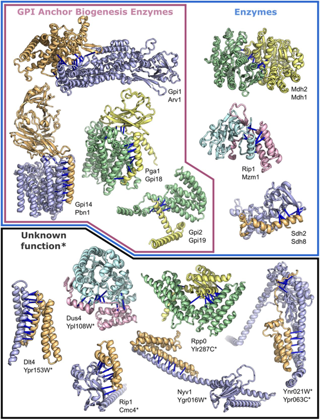 Science | 真核蛋白复合体的核心结构的计算