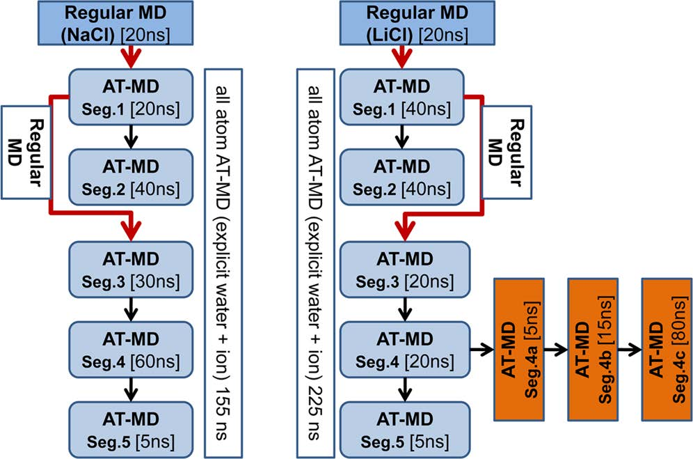 JCIM | 新的计算方法揭示锂药对GSK-3β与其分子伴侣结合亲和力的影响