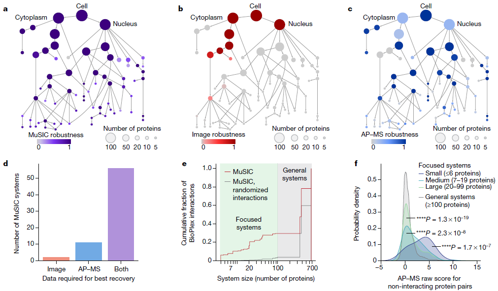 Nature | 融合蛋白质图像和相互作用的细胞结构多尺度图谱
