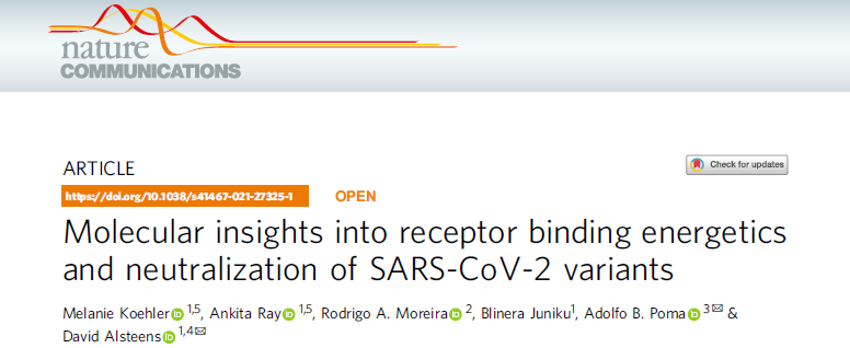 Nat. Commun. | 从分子角度分析SARS-CoV-2突变体的受体结合能量