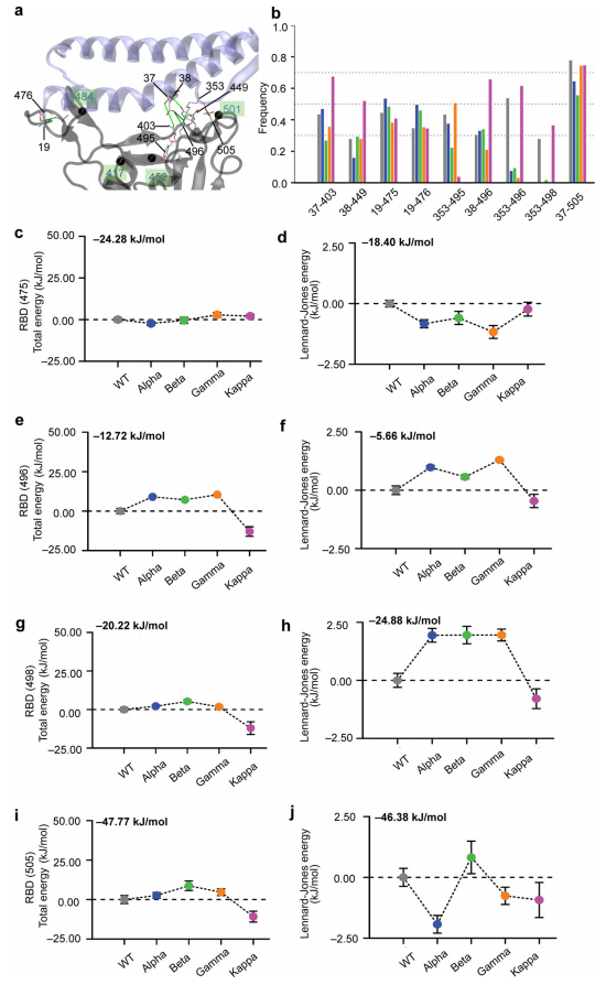 Nat. Commun. | 从分子角度分析SARS-CoV-2突变体的受体结合能量