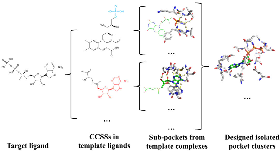 JCIM | DEPACT和PACMatch：一种从头设计蛋白口袋结合小分子的工作流程