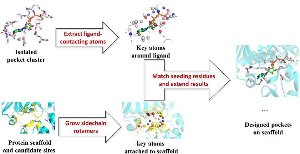 JCIM | DEPACT和PACMatch：一种从头设计蛋白口袋结合小分子的工作流程