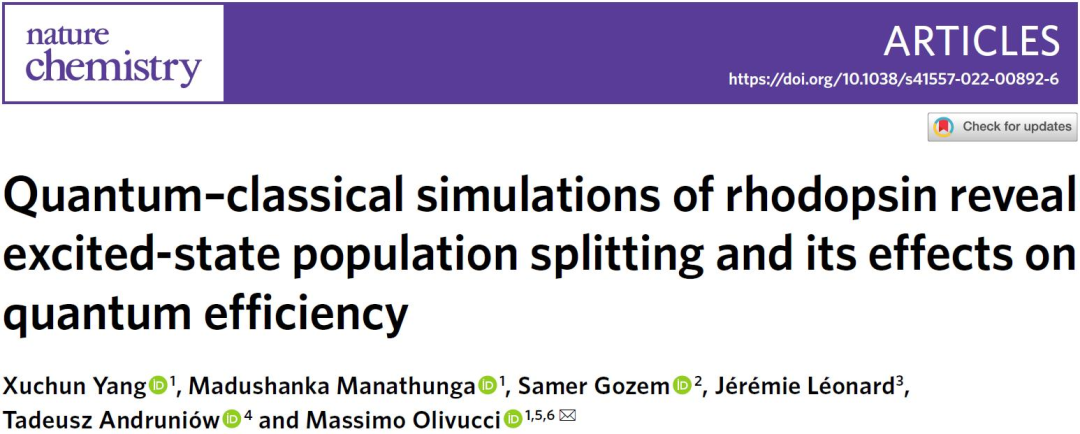 Nat. Chem. | 视紫红质的量子经典模拟揭示激发态布局分裂及其对量子效率的影响