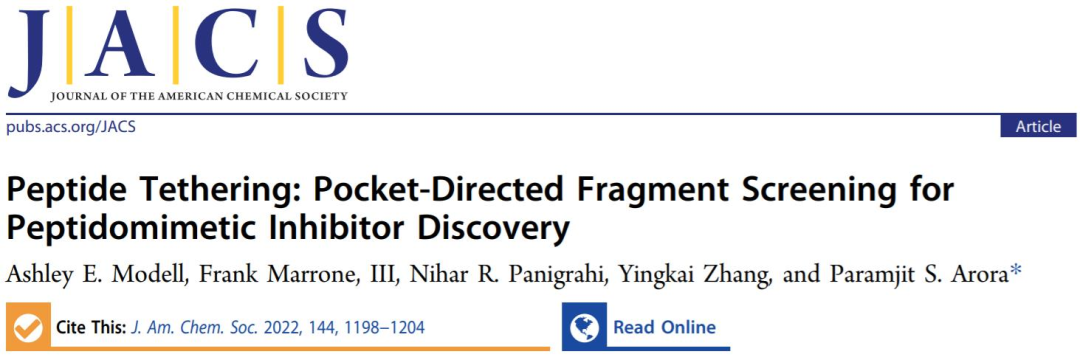 JACS | 肽链：用于拟肽抑制剂发现的口袋定向片段筛选
