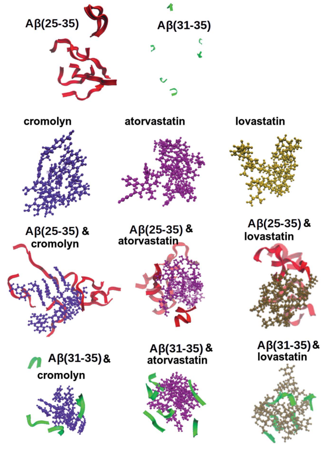 RCS Advance | 计算模拟论证两种他汀类药物和克罗莫林作为抗Aβ肽的细胞毒性的潜在药物