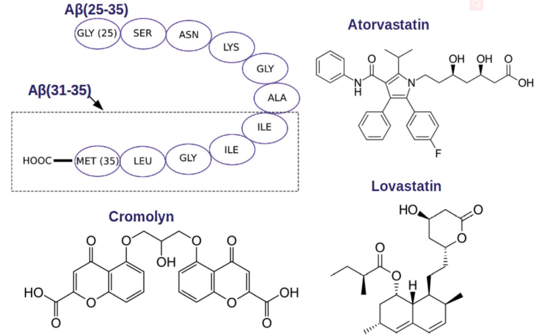 RCS Advance | 计算模拟论证两种他汀类药物和克罗莫林作为抗Aβ肽的细胞毒性的潜在药物