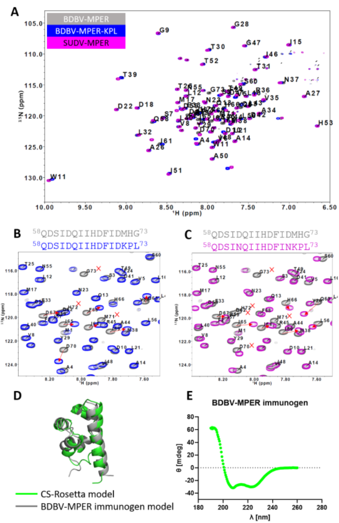 PLOS Pathogens | 基于埃博拉病毒糖蛋白HR2-MPER区域的表位聚焦的免疫原设计