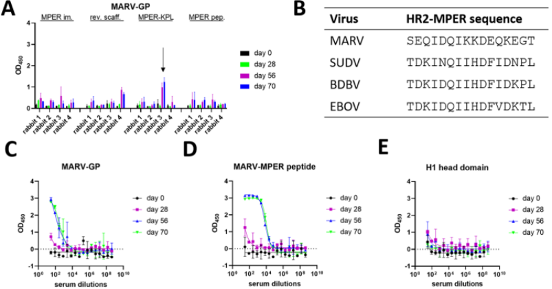 PLOS Pathogens | 基于埃博拉病毒糖蛋白HR2-MPER区域的表位聚焦的免疫原设计