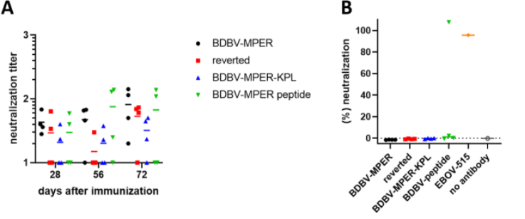 PLOS Pathogens | 基于埃博拉病毒糖蛋白HR2-MPER区域的表位聚焦的免疫原设计