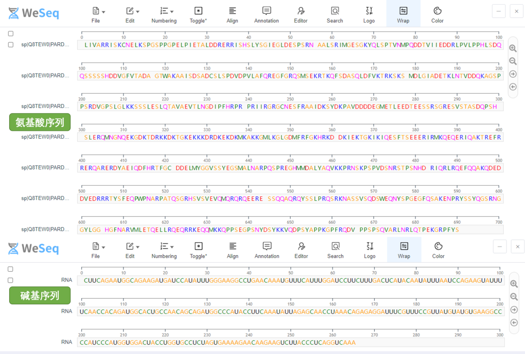 WeSeq | 全功能序列编辑神器！